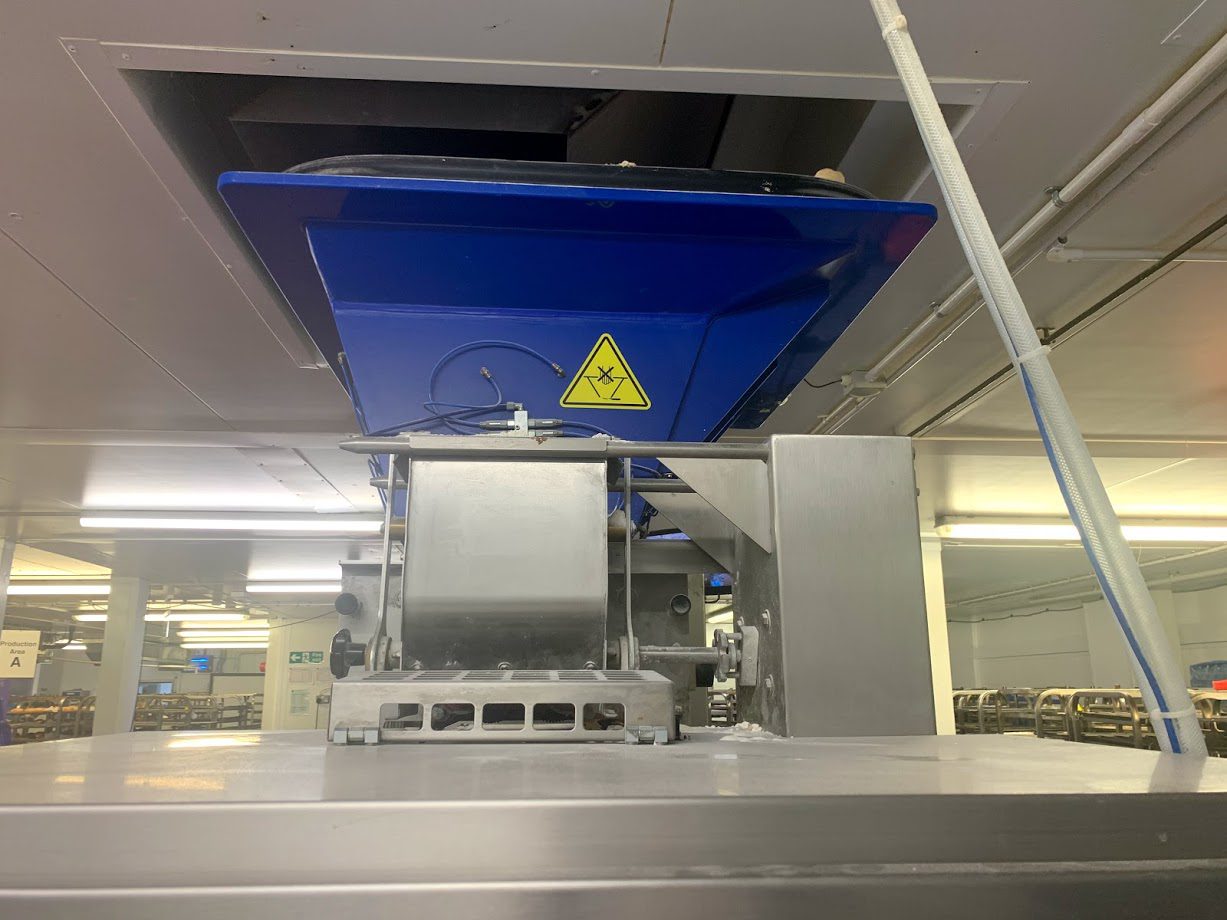 wp kemper bread roll plant09